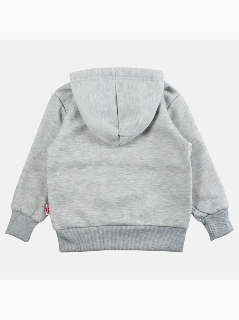 Lee Cooper - Sweat à capuche garçon imprimé Gris - Kiabi