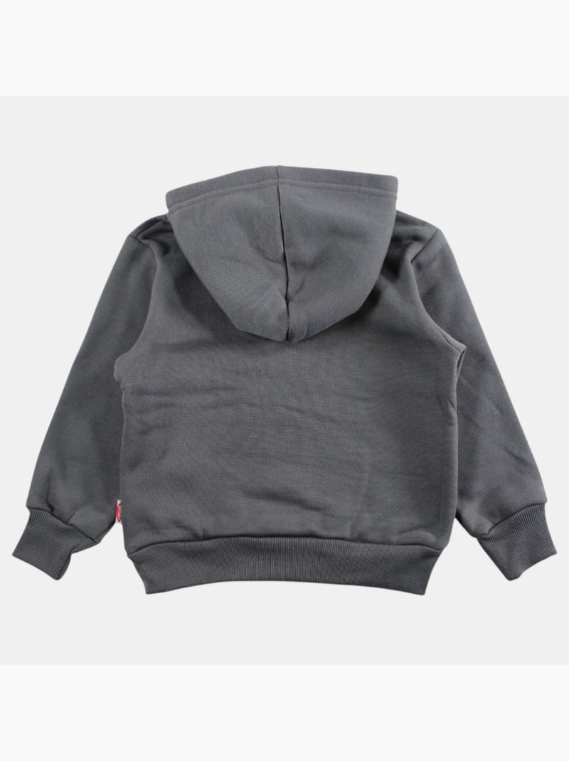 Lee cooper - sweat à capuche imprimé, manches longues gris anthracite - Kiabi