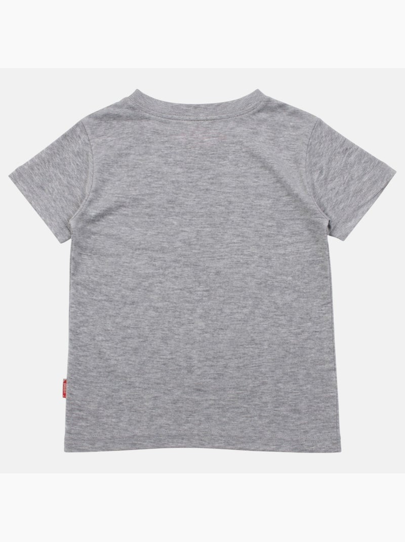 Lee Cooper - T-shirt manches courtes garçon avec imprime skateboard Gris - Kiabi