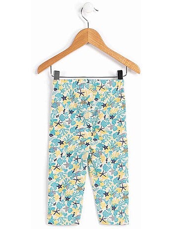 Legging court - Terre de Marins