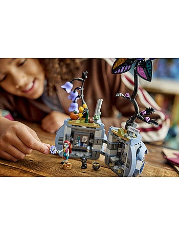 LEGO 43288 - Pot De Fleurs Sally Jack Disney