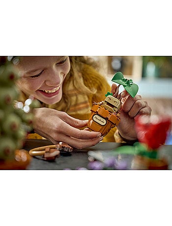 Lego 76474 - plantes coures poudlard harry potter