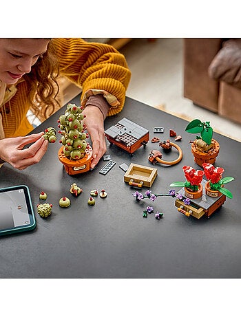 Lego 76474 - plantes coures poudlard harry potter