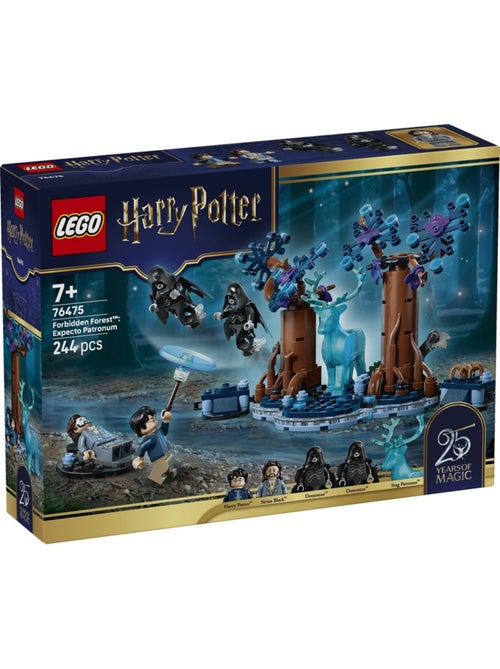 Lego 76475 - la forêt interdite : expecto patronum - Kiabi
