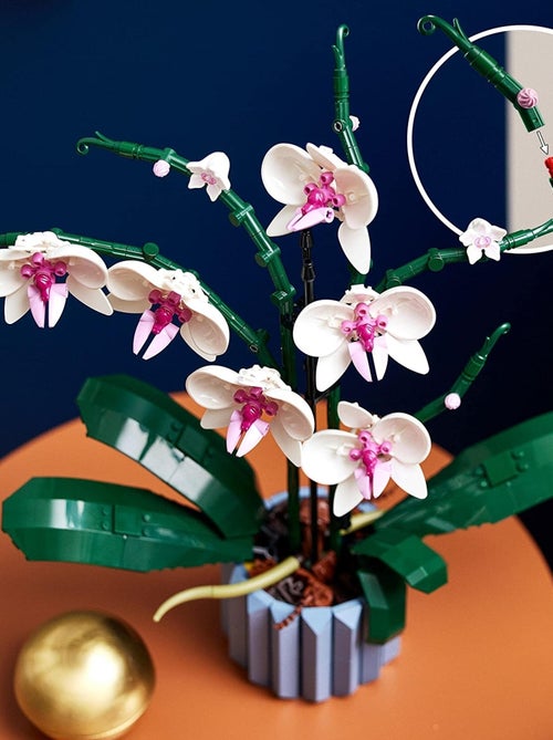 LEGO Botanicals - LEGO Creator - L'orchidée - 10311 - Kiabi
