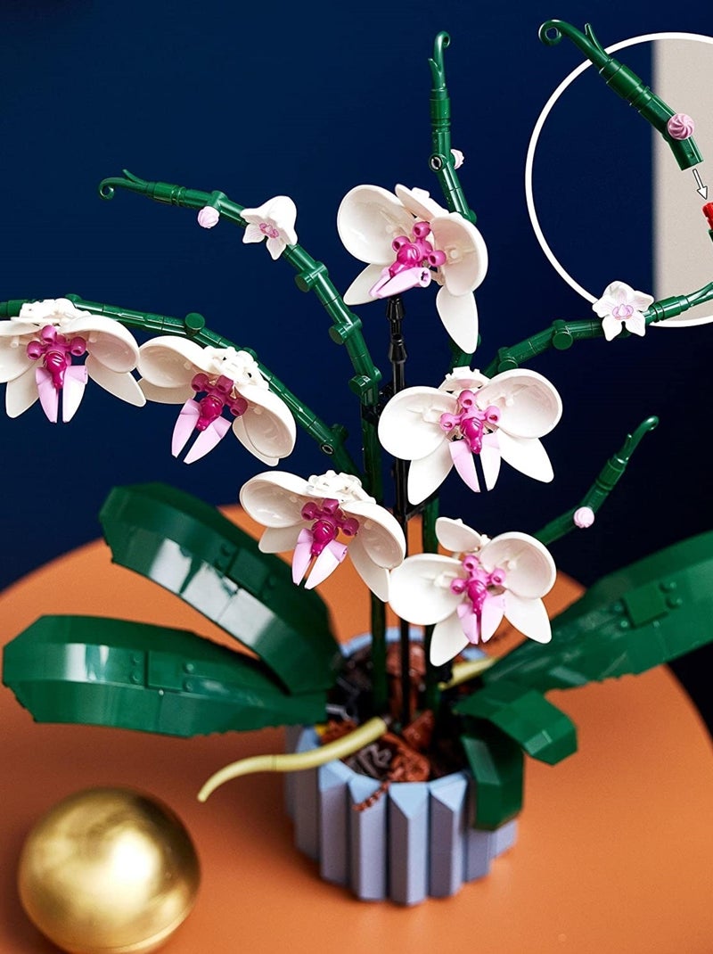 LEGO Botanicals - LEGO Creator - L'orchidée - 10311 Multicolore - Kiabi