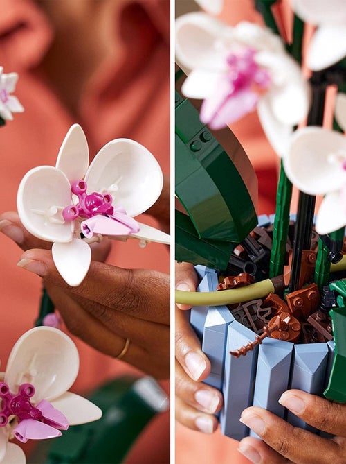 LEGO Botanicals - LEGO Creator - L'orchidée - 10311 - Kiabi