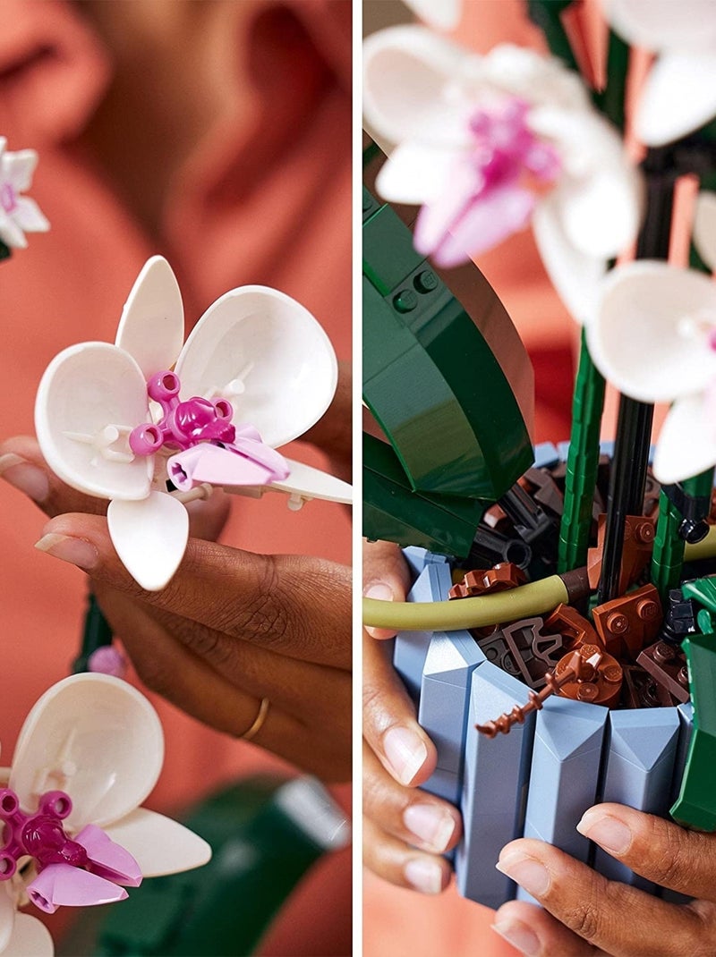 LEGO Botanicals - LEGO Creator - L'orchidée - 10311 Multicolore - Kiabi