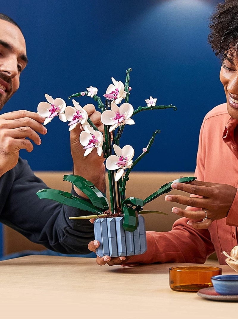 LEGO Botanicals - LEGO Creator - L'orchidée - 10311 Multicolore - Kiabi
