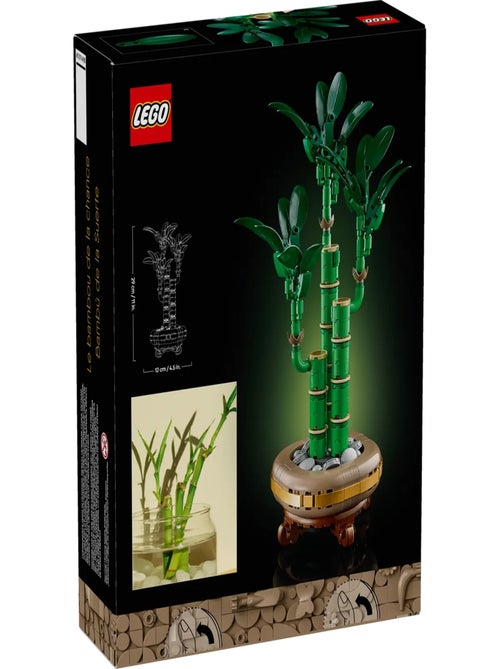 LEGO Botanicals - LEGO Icons - Le bambou de la chance - 10344 - Kiabi