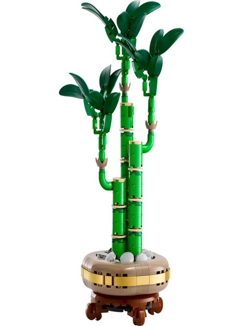 LEGO Botanicals - LEGO Icons - Le bambou de la chance - 10344 - Kiabi