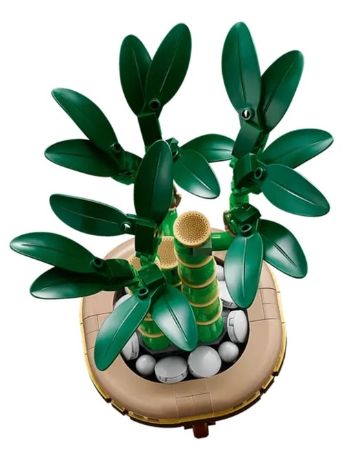 LEGO Botanicals - LEGO Icons - Le bambou de la chance - 10344 - Kiabi