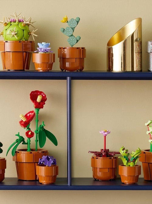 LEGO Botanicals - LEGO Icons - Les plantes miniatures - 10329 - Kiabi