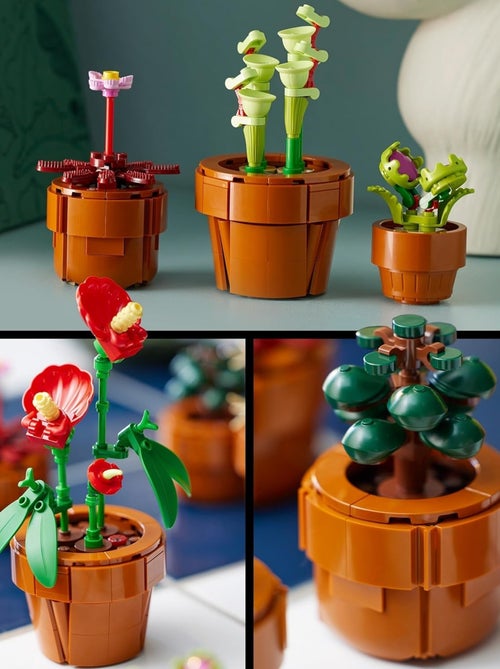 LEGO Botanicals - LEGO Icons - Les plantes miniatures - 10329 - Kiabi