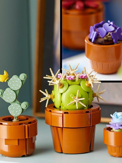 LEGO Botanicals - LEGO Icons - Les plantes miniatures - 10329 - Kiabi