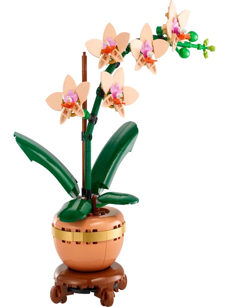 LEGO Botanicals - LEGO Icons - L'orchidée miniature - 10343 Multicolore - Kiabi