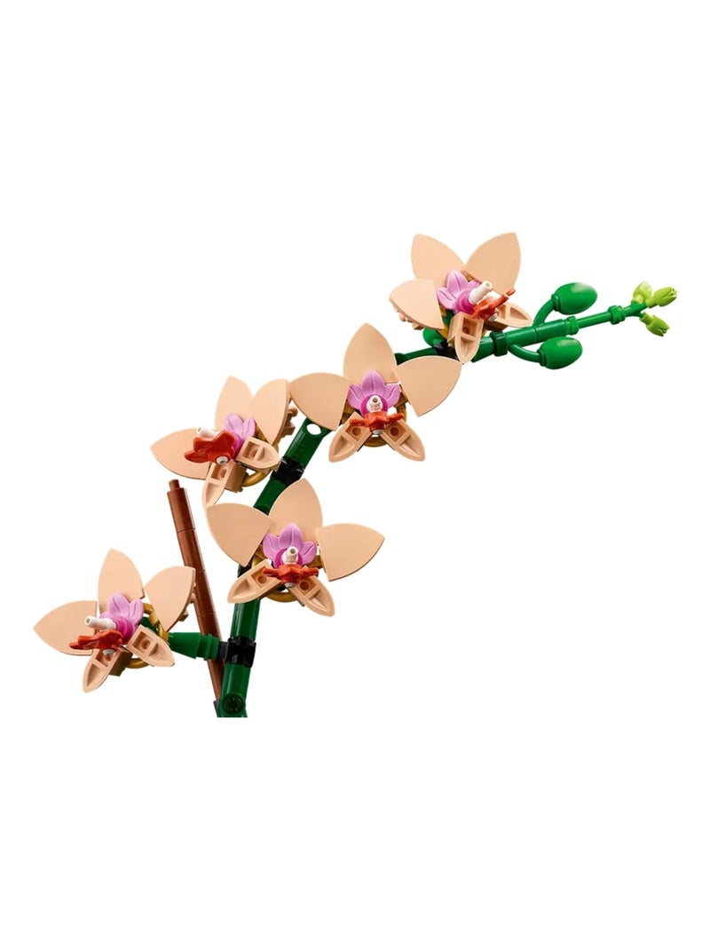 LEGO Botanicals - LEGO Icons - L'orchidée miniature - 10343 Multicolore - Kiabi