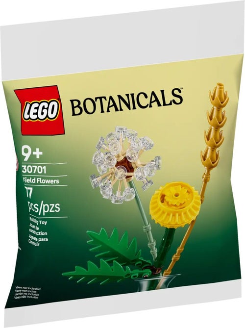 LEGO Collection Botanique - Fleurs des Champs (Polybag) 30701 - Kiabi