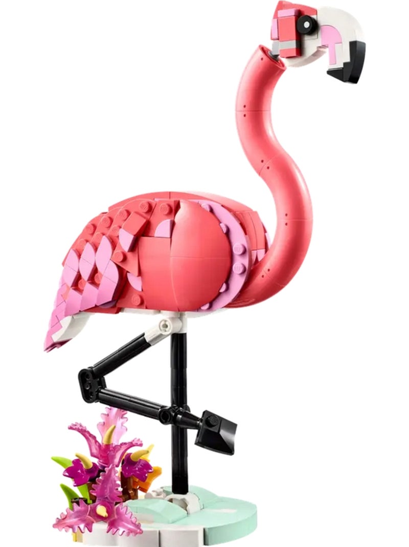 LEGO Creator - Animaux sauvages : le flamant rose - 31170 Multicolore - Kiabi