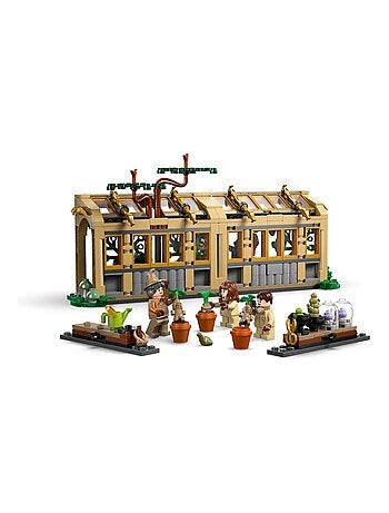 LEGO Harry Potter - Le château de Poudlard : le cours de botanique - 76445