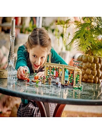 LEGO Harry Potter - Le château de Poudlard : le cours de botanique - 76445