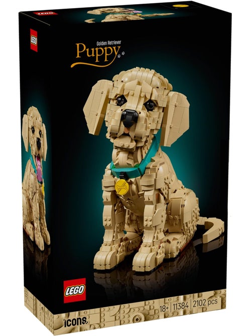 LEGO Icons - Chiot Golden Retriever articulé - 11384 - Kiabi