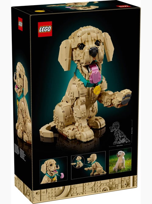 LEGO Icons - Chiot Golden Retriever articulé - 11384 - Kiabi