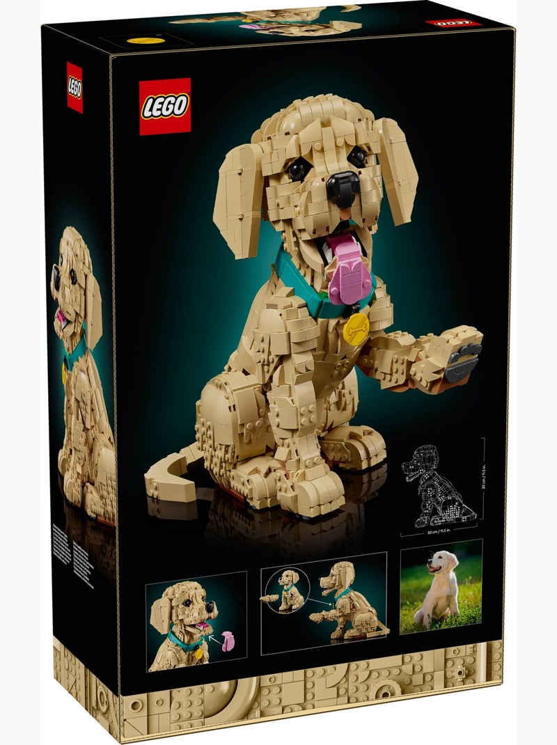 LEGO Icons - Chiot Golden Retriever articulé - 11384 Rouge - Kiabi