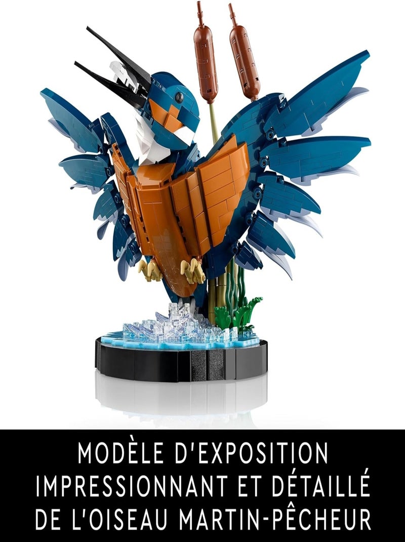 LEGO Icons - Le martin-pêcheur - 10331 Multicolore - Kiabi