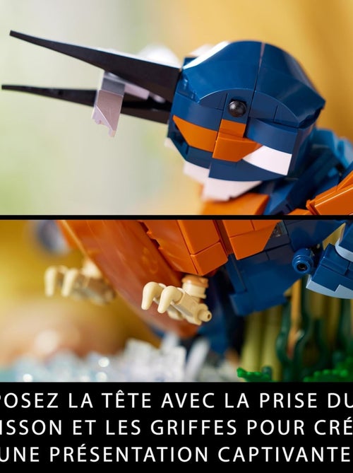 LEGO Icons - Le martin-pêcheur - 10331 - Kiabi