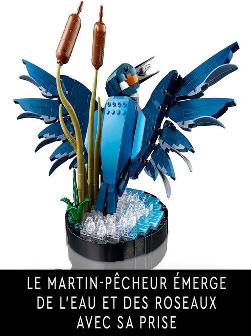 LEGO Icons - Le martin-pêcheur - 10331 - Kiabi