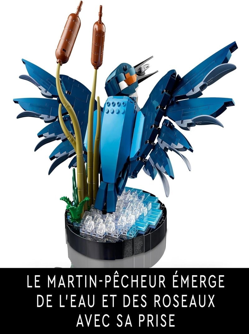 LEGO Icons - Le martin-pêcheur - 10331 Multicolore - Kiabi