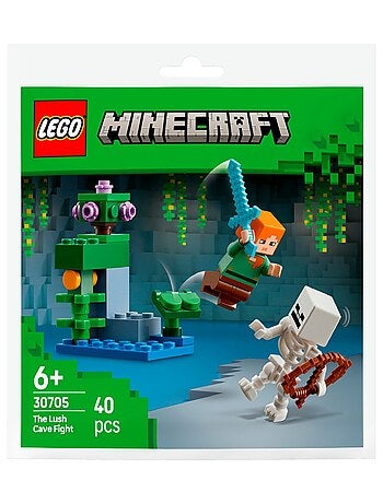 LEGO Minecraft - L'Attaque de la Grotte Luxuriante (Polybag) - 30705