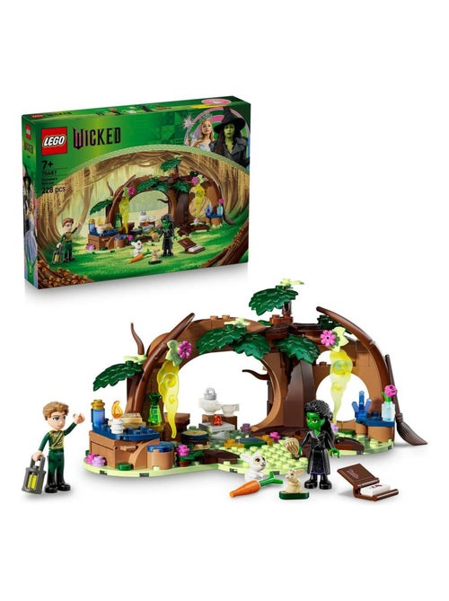LEGO Wicked Le repaire d'Elphaba 75687, 228 pièces, dès 8 ans. - Kiabi