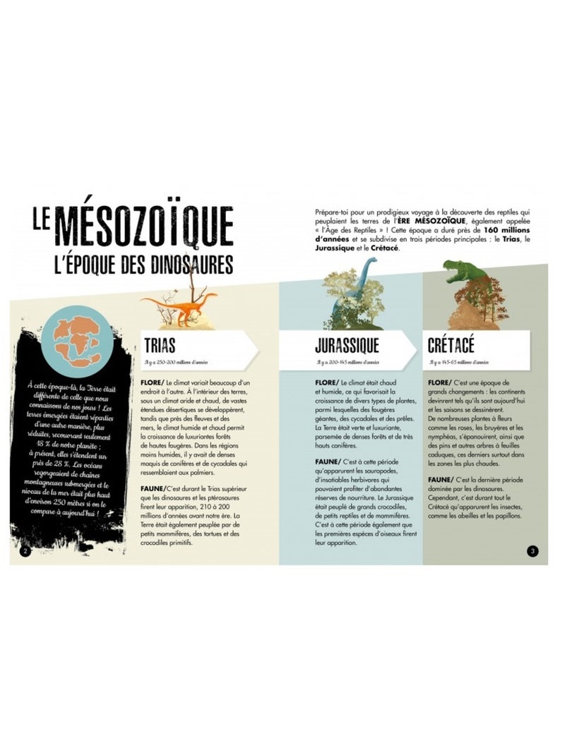 L'ère des dinosaures - Le Tricératops N/A - Kiabi