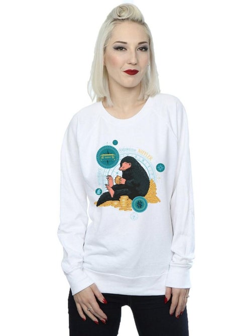 Les Animaux fantastiques - Sweat - Kiabi Les Animaux fantastiques - Sweat - Kiabi