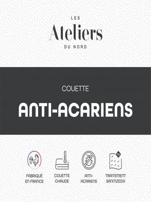 Les Ateliers du Nord - Couette Chaude Anti-acariens - Kiabi