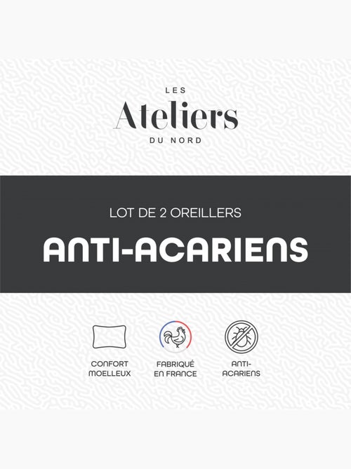 Les Ateliers du Nord - Lot de 2 oreillers moelleux Anti-acariens - Kiabi