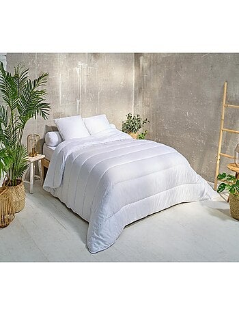 Les Ateliers du Nord - Lot de 2 Oreillers Volume Moelleux 60x60cm