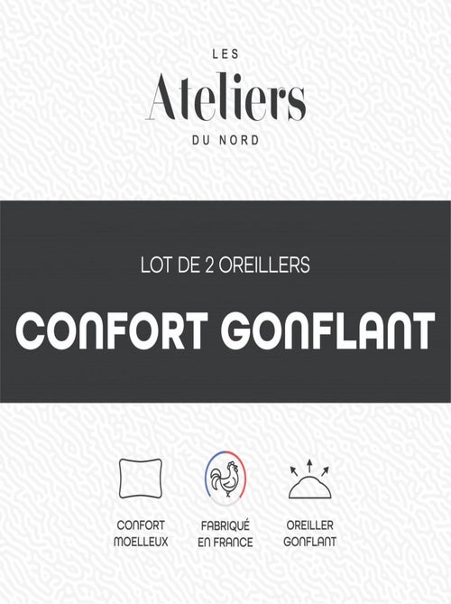 Les Ateliers du Nord - Lot de 2 Oreillers Volume Moelleux 60x60cm - Kiabi Les Ateliers du Nord - Lot de 2 Oreillers Volume Moelleux 60x60cm - Kiabi