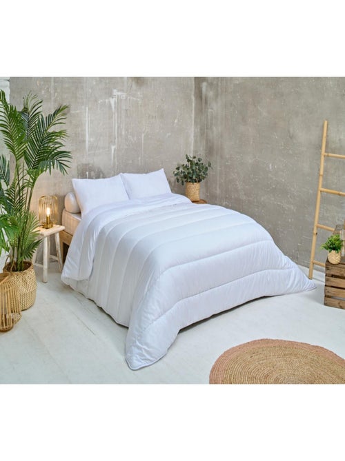 Les Ateliers du Nord - Oreiller Anti-acariens 60x60cm - Kiabi