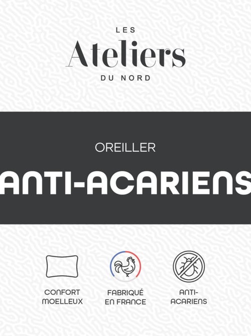 Les Ateliers du Nord - Oreiller Anti-acariens 60x60cm - Kiabi