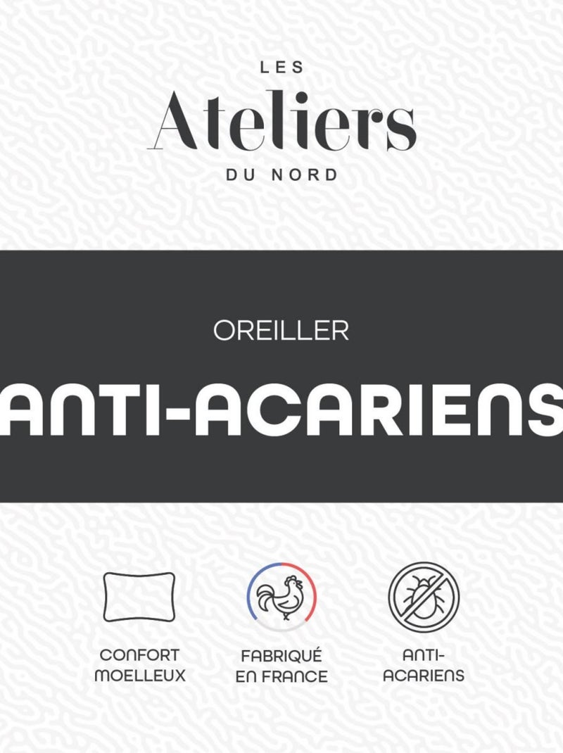 Les Ateliers du Nord - Oreiller Anti-acariens 60x60cm Blanc - Kiabi