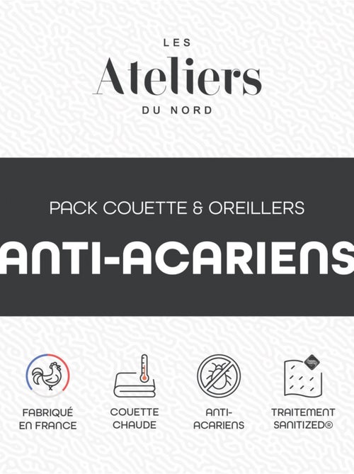 Les Ateliers du Nord - Pack Couette Chaude + 1 ou 2 oreillers Anti Acariens - Kiabi Les Ateliers du Nord - Pack Couette Chaude + 1 ou 2 oreillers Anti Acariens - Kiabi