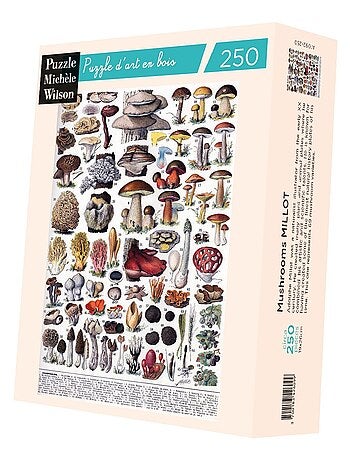 Les champignons de Millot