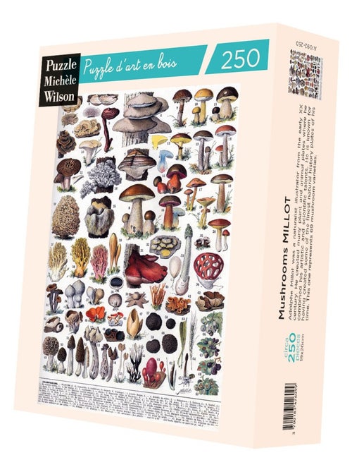 Les champignons de Millot - Kiabi