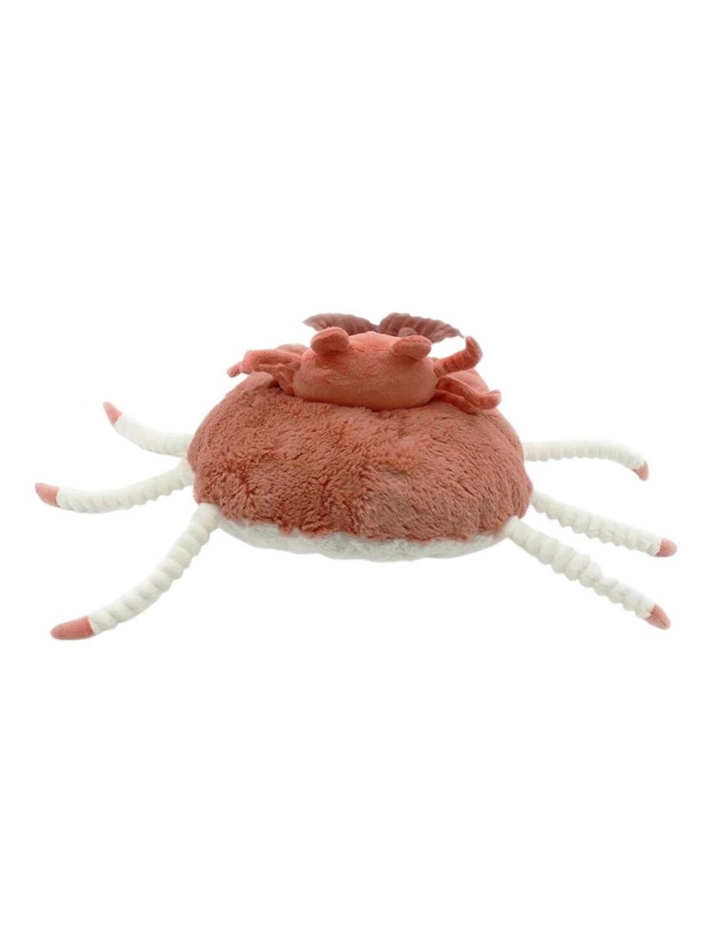 Les Déglingos - Peluche Cassecou le crabe et son bébé Orange - Kiabi