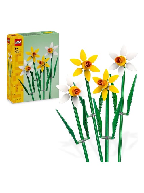 Les jonquilles - Kiabi
