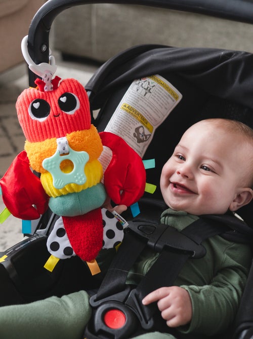 Liam le Homard - Kiabi