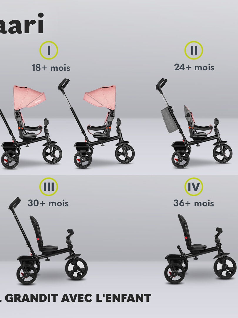 Chariot Enfant JE/AMK-Radio Flyer Deluxe EZ Fold 4-in-1